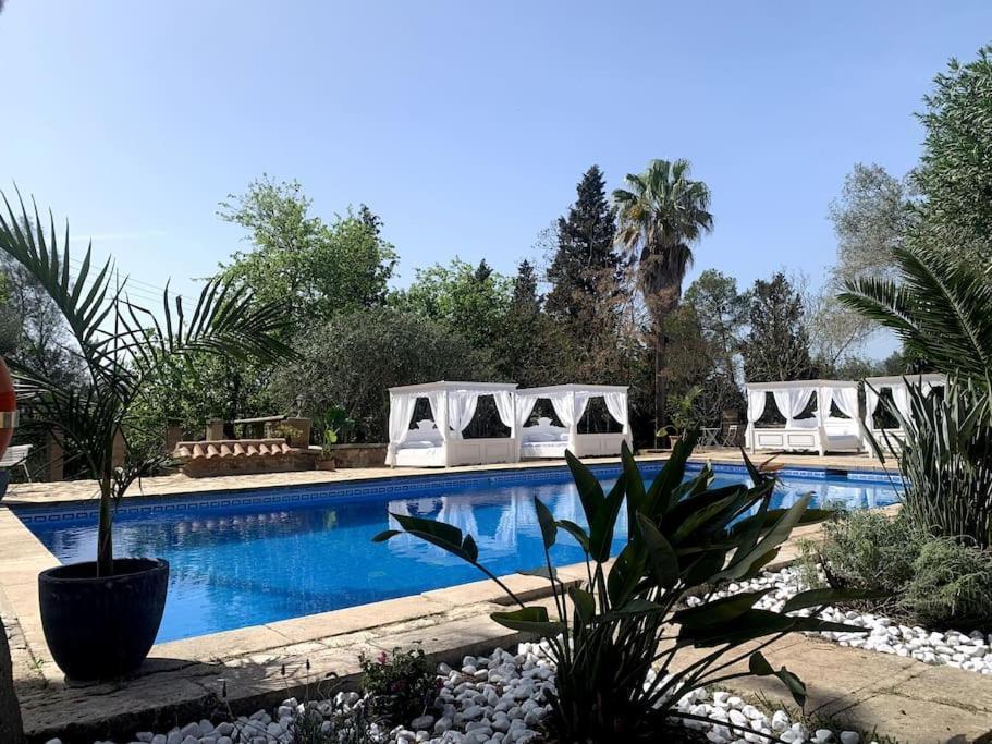 Apartment Marilla 2,design Und Stilvoll,xxl Pool,wifi, Klima *
